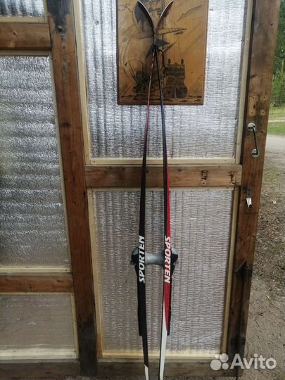 Беговые лыжи