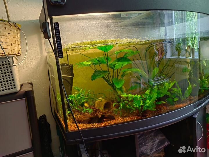 Аквариум с тумбой