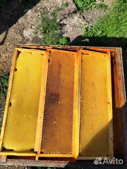 Сушь магазинная