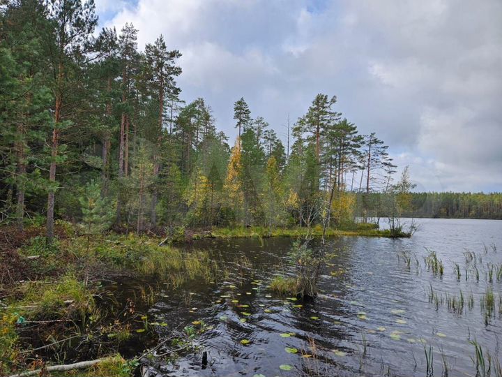 Участок 8,7 сот. (СНТ, ДНП)