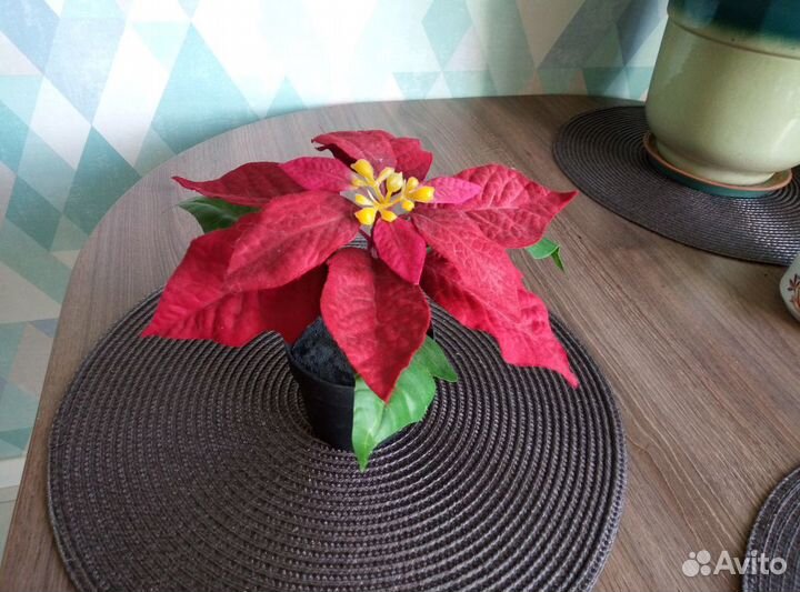 Цветок искуствееный икея