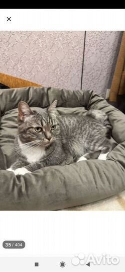 Лежанка для собак и кошек