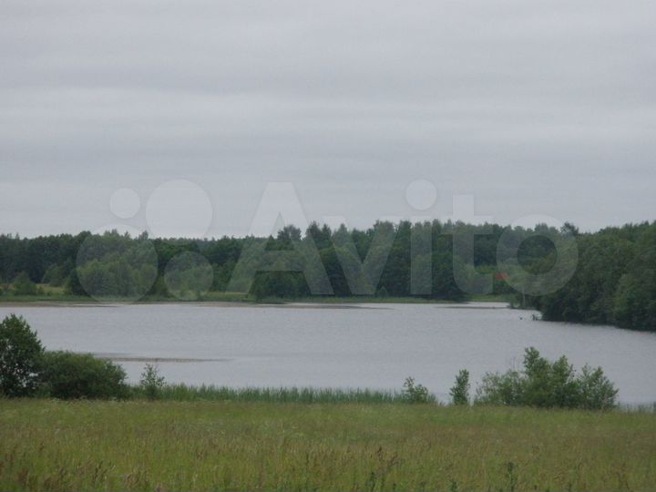 Участок 11,8 га (СНТ, ДНП)