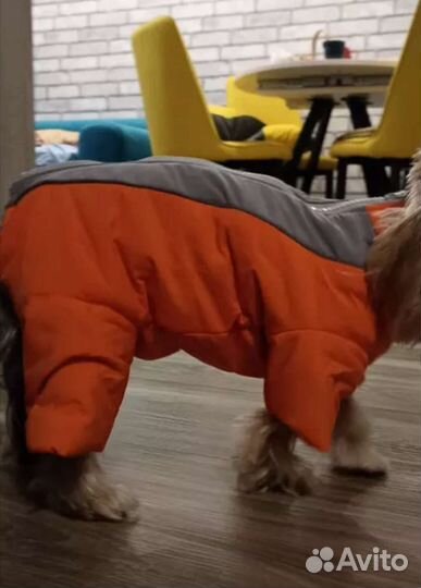 Комбинезон для собак