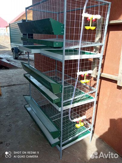 Клетка для перепелов