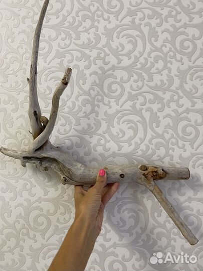 Коряги для аквариума