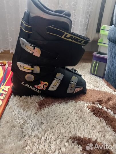 Горные лыжи