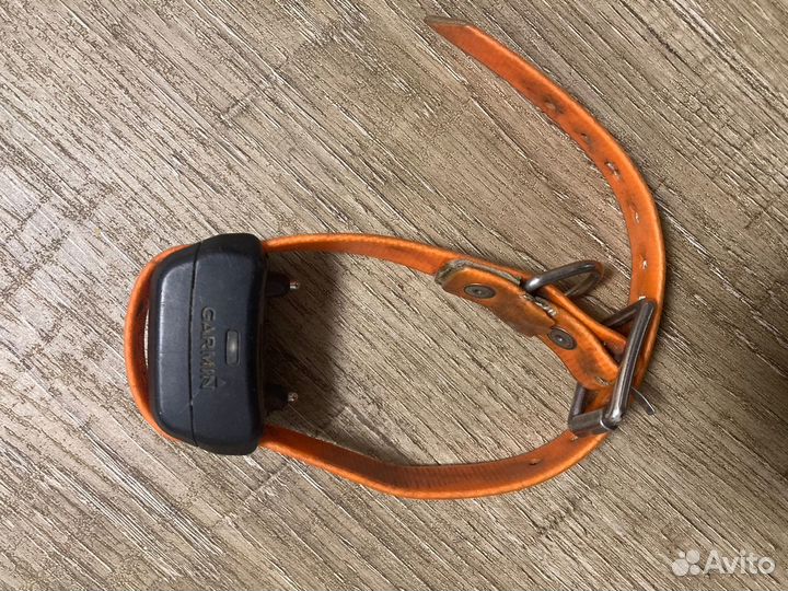 Ошейник для собак