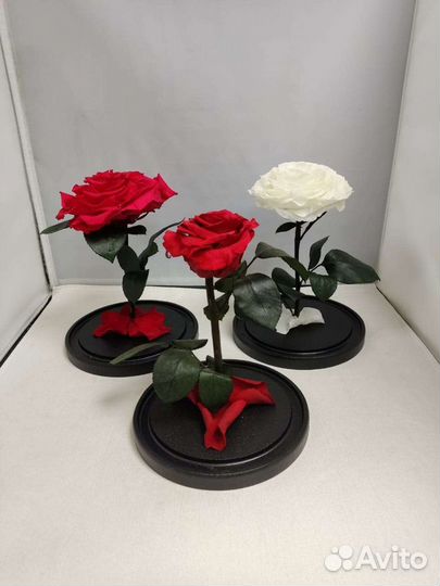 Роза в колбе оптом и в розницу