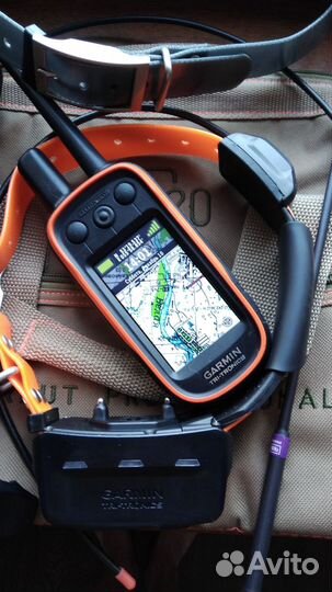 Навигатор Garmin Alpha 100 Америка с ошейником