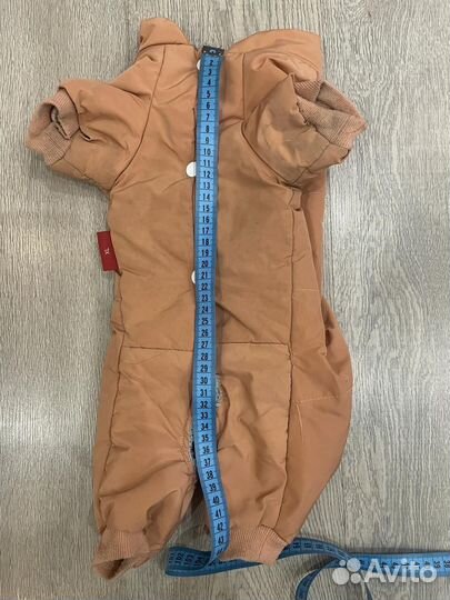 Одежда для собак