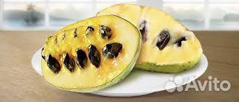 Азимина-северный банан