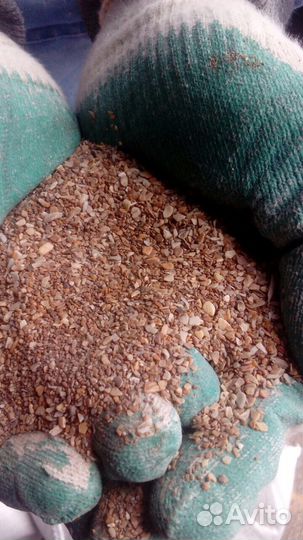 Кормовая ракушка