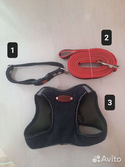 Одежда для собак