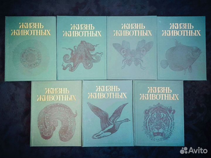 Жизнь животных (Просвещение 1987, ред. Полянского)
