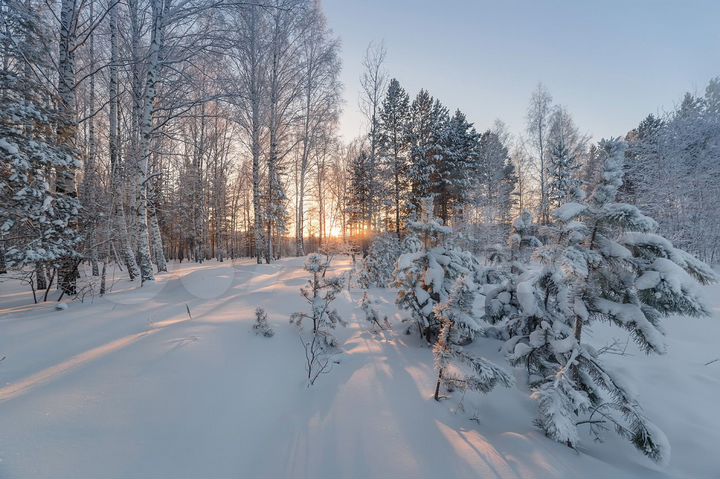 Участок 5,52 га (СНТ, ДНП)