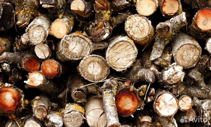 Дрова ольха осина