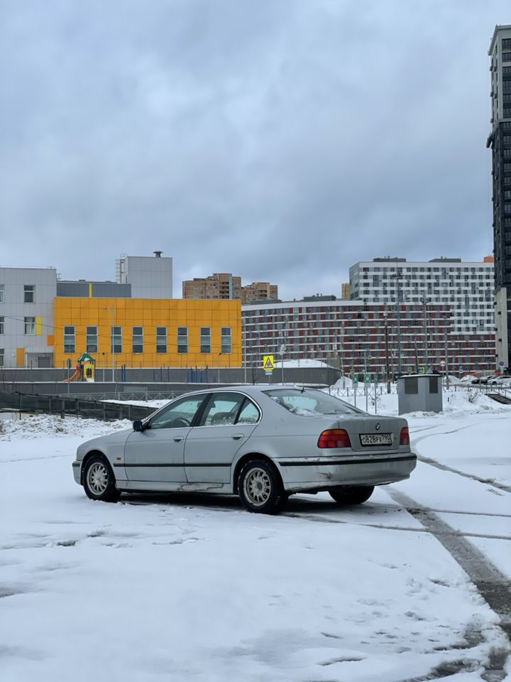BMW 5 серия: фото владельца