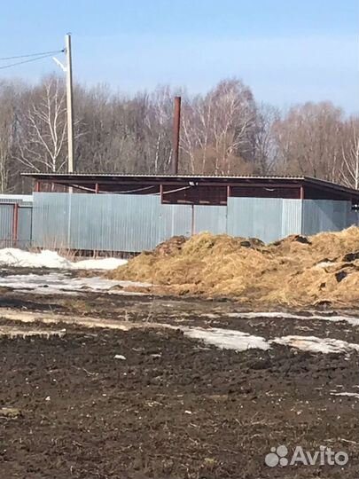 Перегной и навоз возможна продажа в мешках