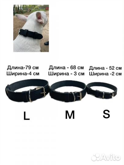 Ошейник для собак