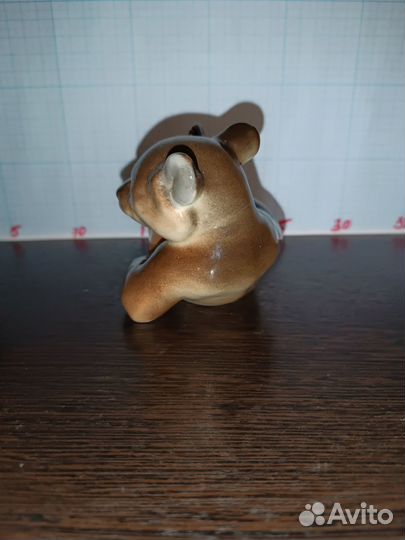 Медвежонок на привале