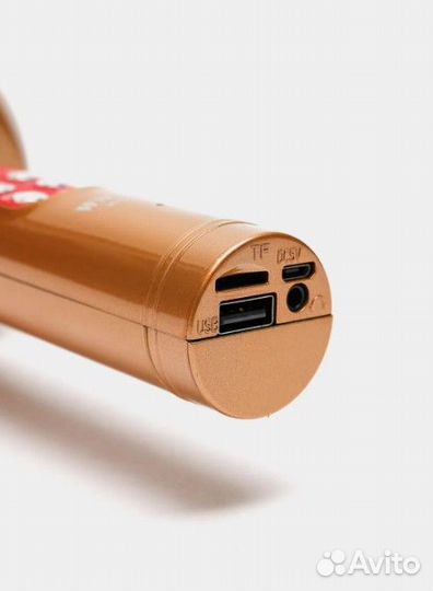 Беспроводной караоке микрофон