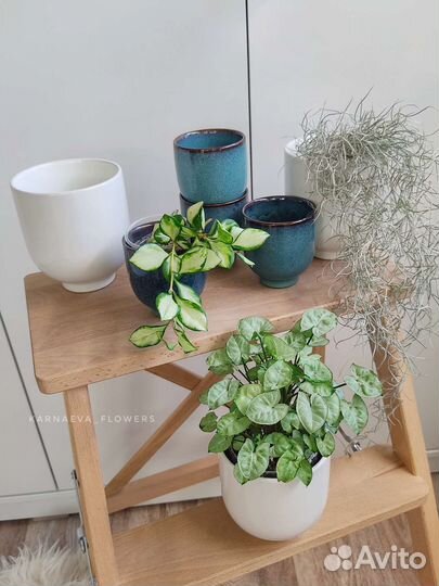 Кашпо для цветов (новые)