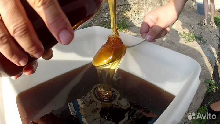 Гречишный свежий мед оптом