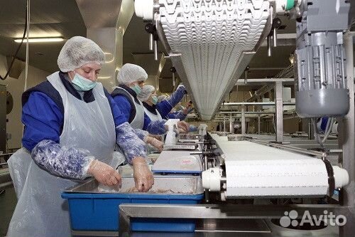 Вахта. Разнорабочий. Консервный завод