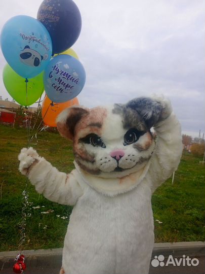 Котик, ростовая кукла,аниматор, поздравление