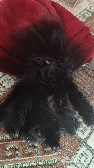 Шапка норковая женская