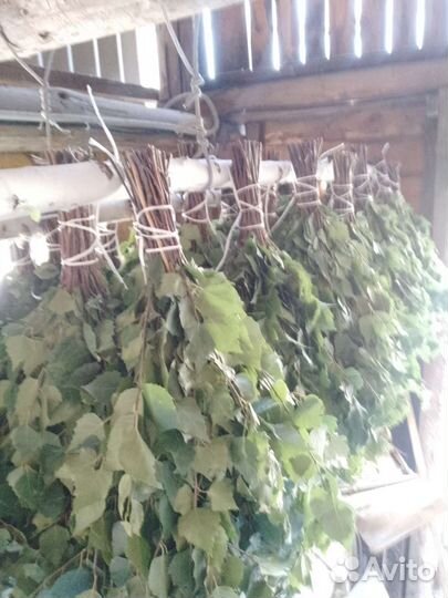 Веники для бани