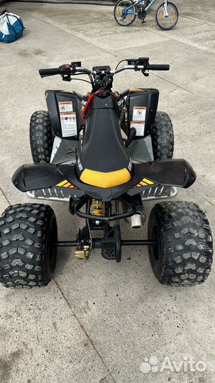 Детский квадроцикл Brp DS 90X