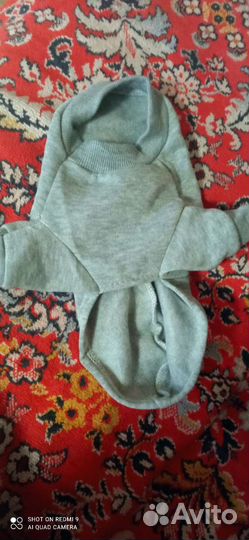 Одежда для животных