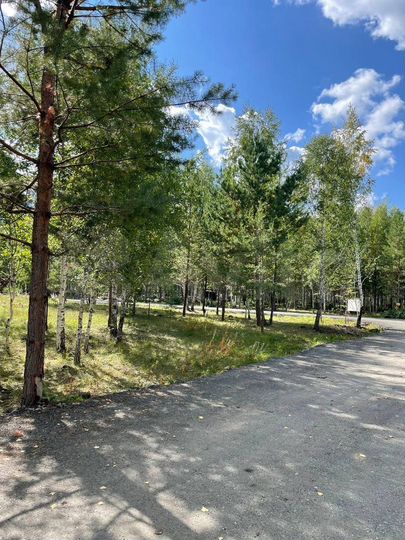 Участок 9,9 сот. (ИЖС)