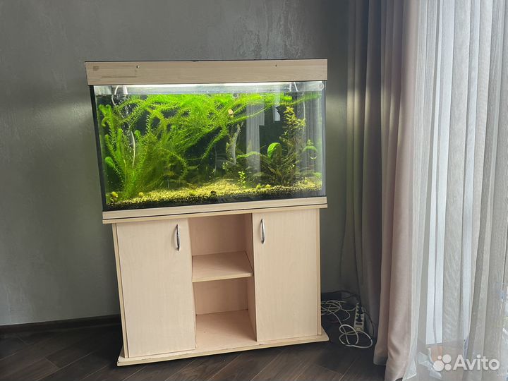 Продажа аквариумов