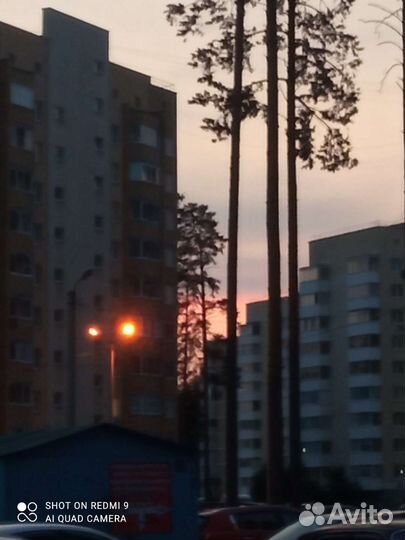 Гадание на taro