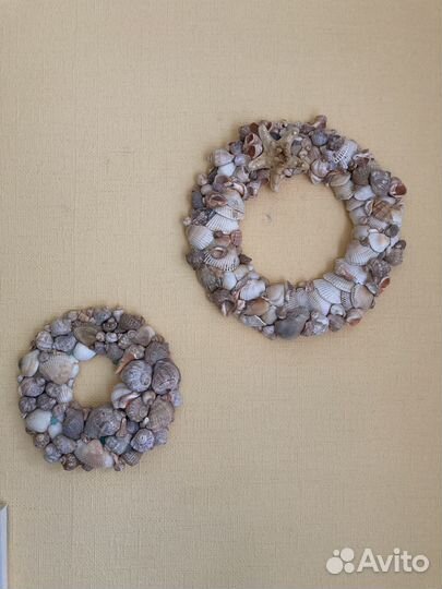 Морские ракушки раковины