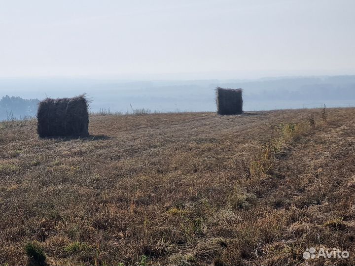 Сено в рулонах 2023