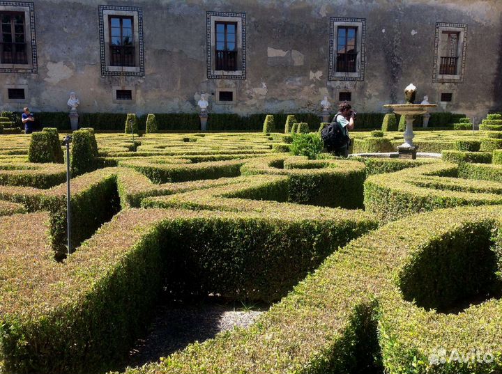 Английский язык для взрослых онлайн