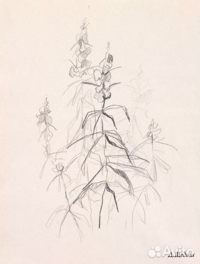 Рисунки карандашом, углем и в см. технике. Часть 6