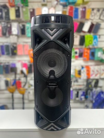 Колонка ZQS6201