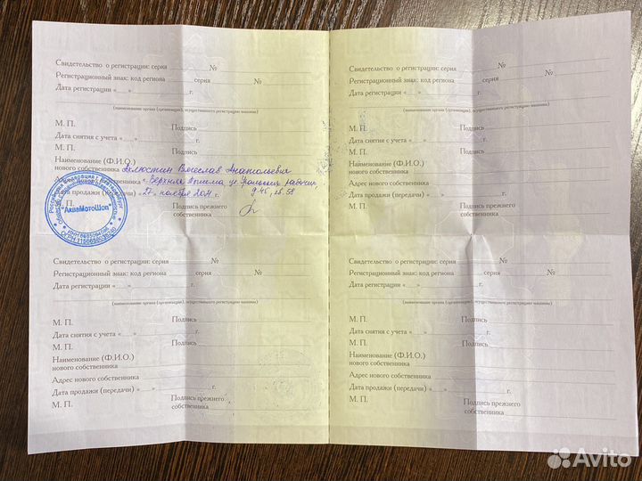 Тайга Патруль