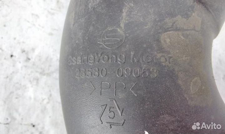 Патрубок воздушного фильтра SsangYong Kyron