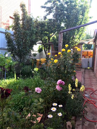 Дом 50 м² на участке 3 сот.