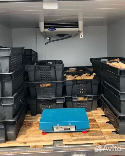 Куры Халяль