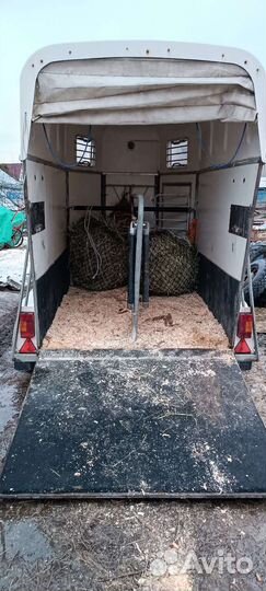 Конеперевозки