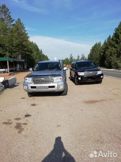 Пассажирские перевозки/VIP/услуги и аренда