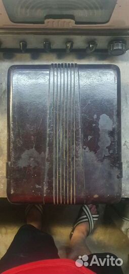 Корпус ласточка эльфа