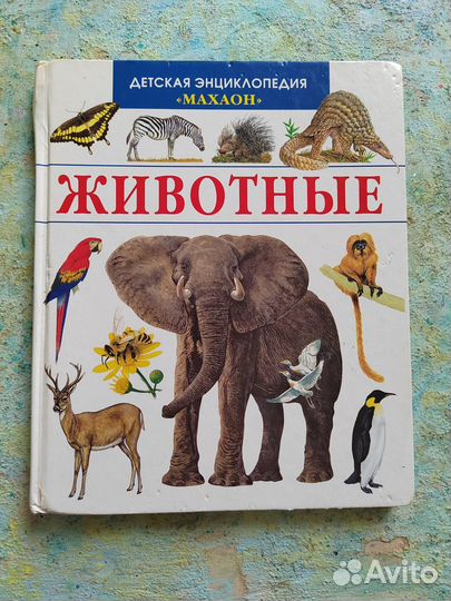Детские книги в ассортименте